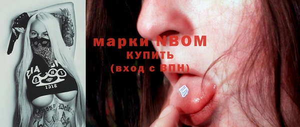 трава Аркадак