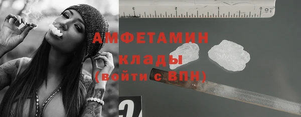 трава Аркадак