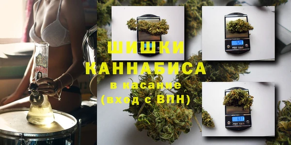 ГАЛЛЮЦИНОГЕННЫЕ ГРИБЫ Новозыбков